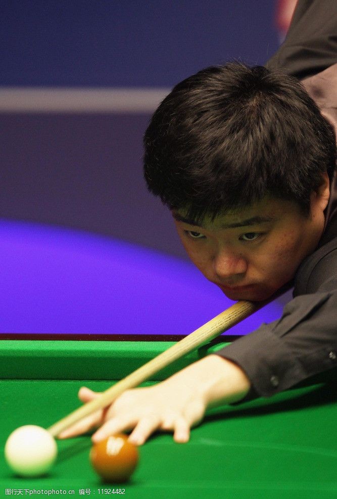 中有着广泛 中有着广泛